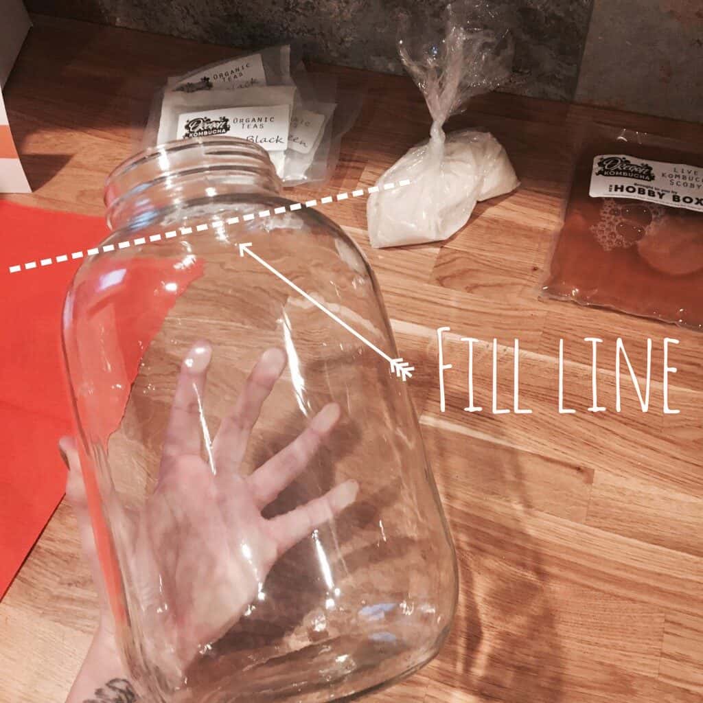 one gallon glass jug with a fill line graphic overlaid for making kombucha