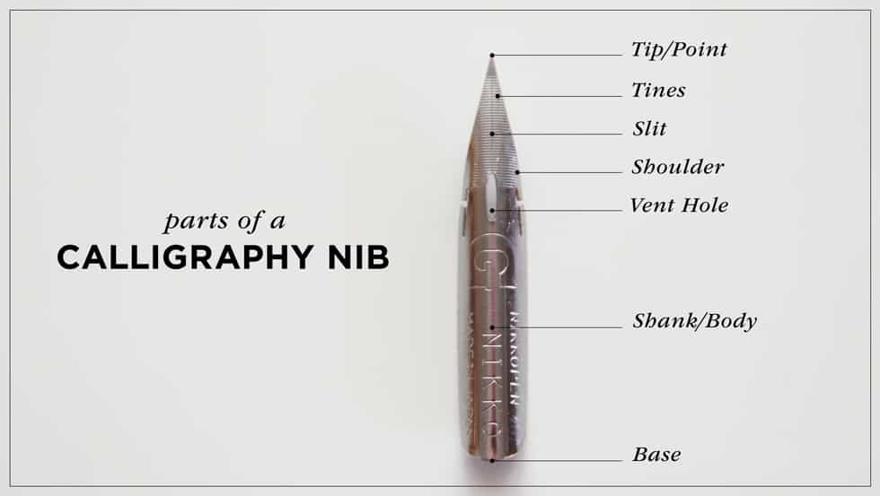 anatomy of calligraphy nib